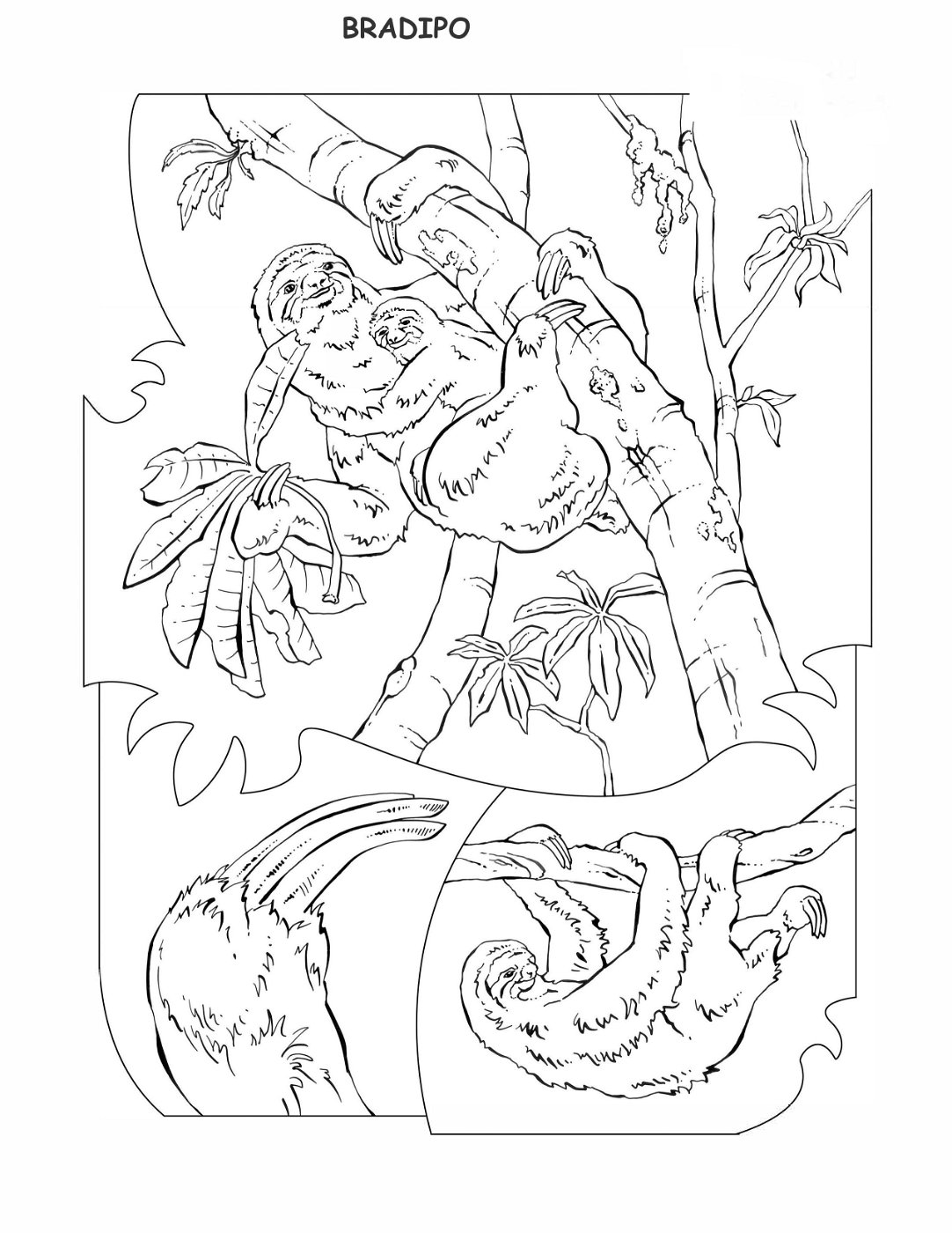 coloring-book-animals A_45